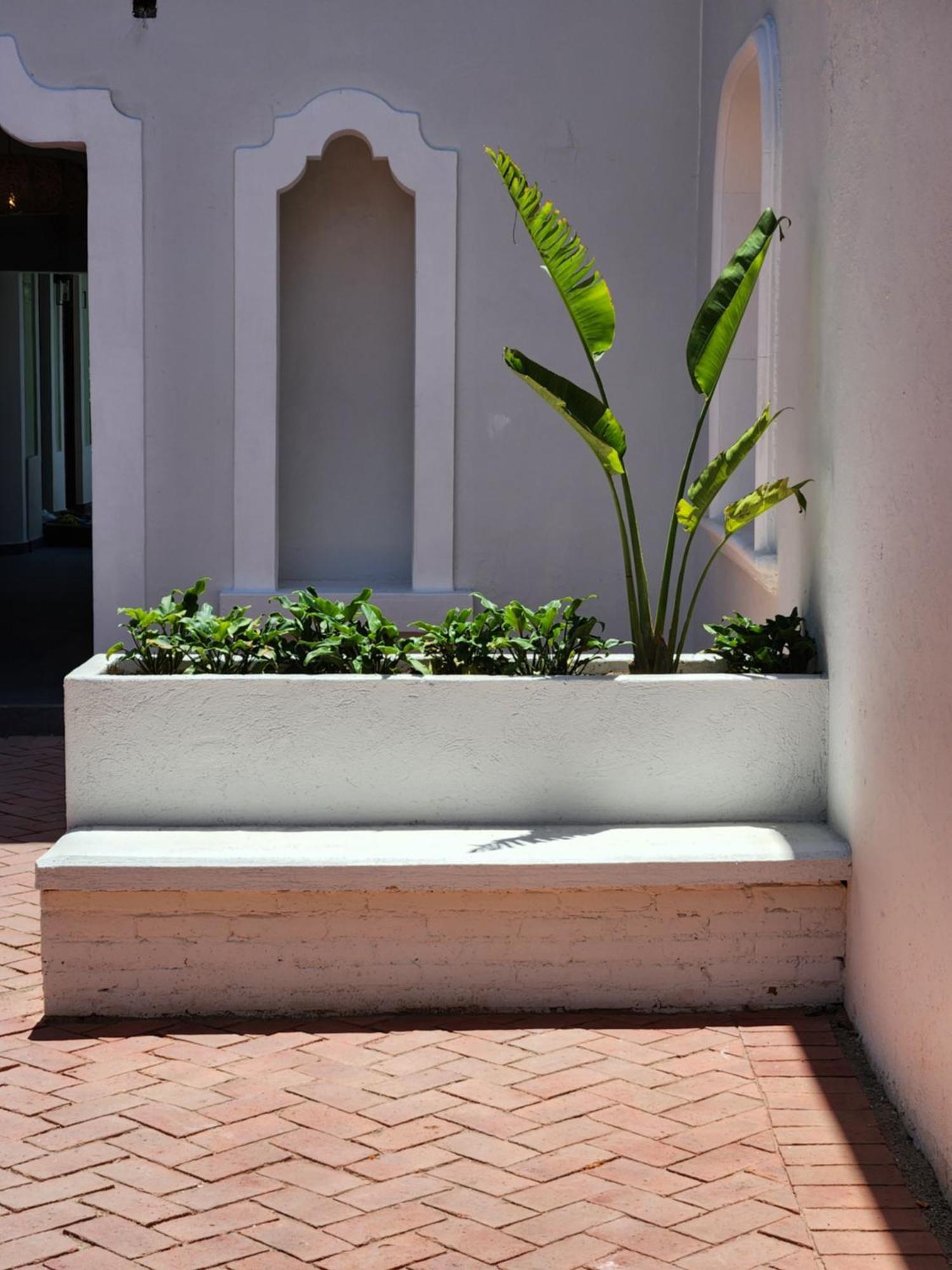 Hotel Boutique Villa Escondida, A Pasos De Lo Mejor En Tlaquepaque Exteriör bild