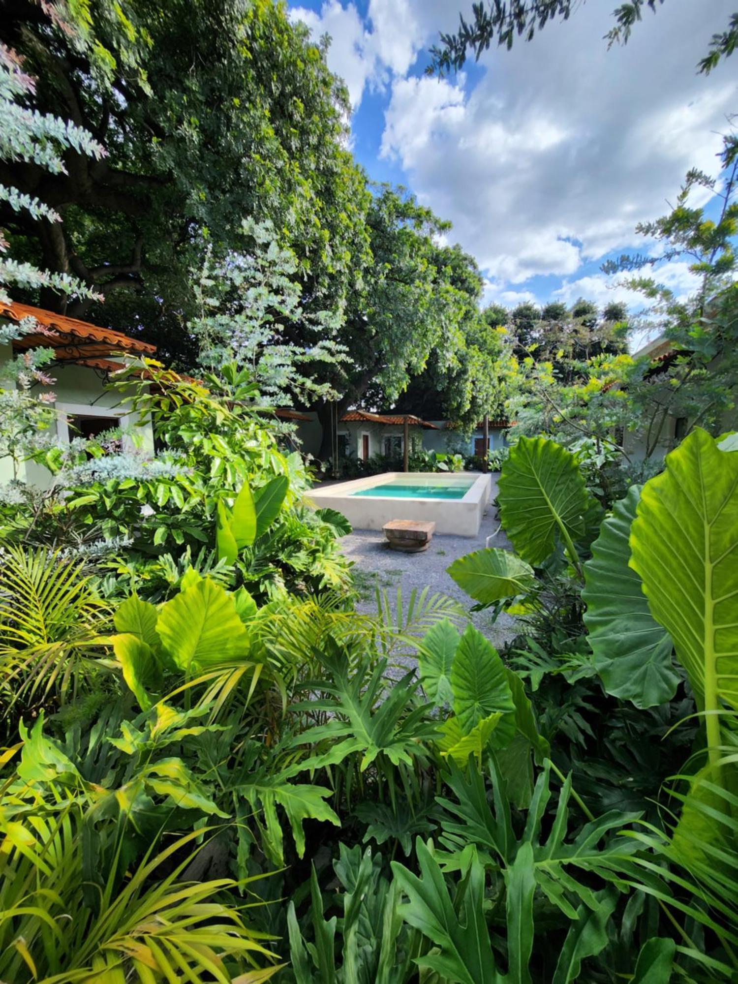 Hotel Boutique Villa Escondida, A Pasos De Lo Mejor En Tlaquepaque Exteriör bild