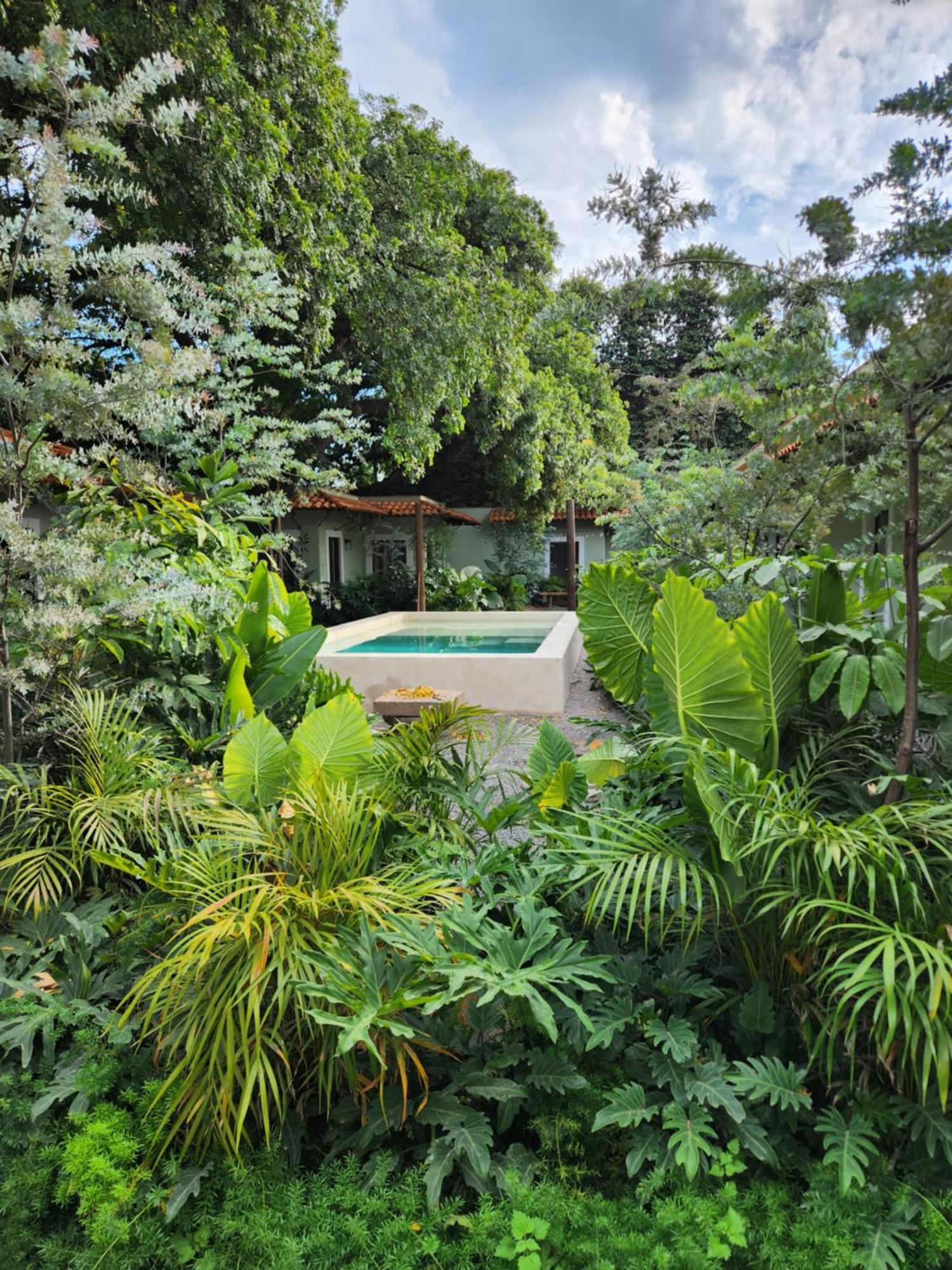 Hotel Boutique Villa Escondida, A Pasos De Lo Mejor En Tlaquepaque Exteriör bild